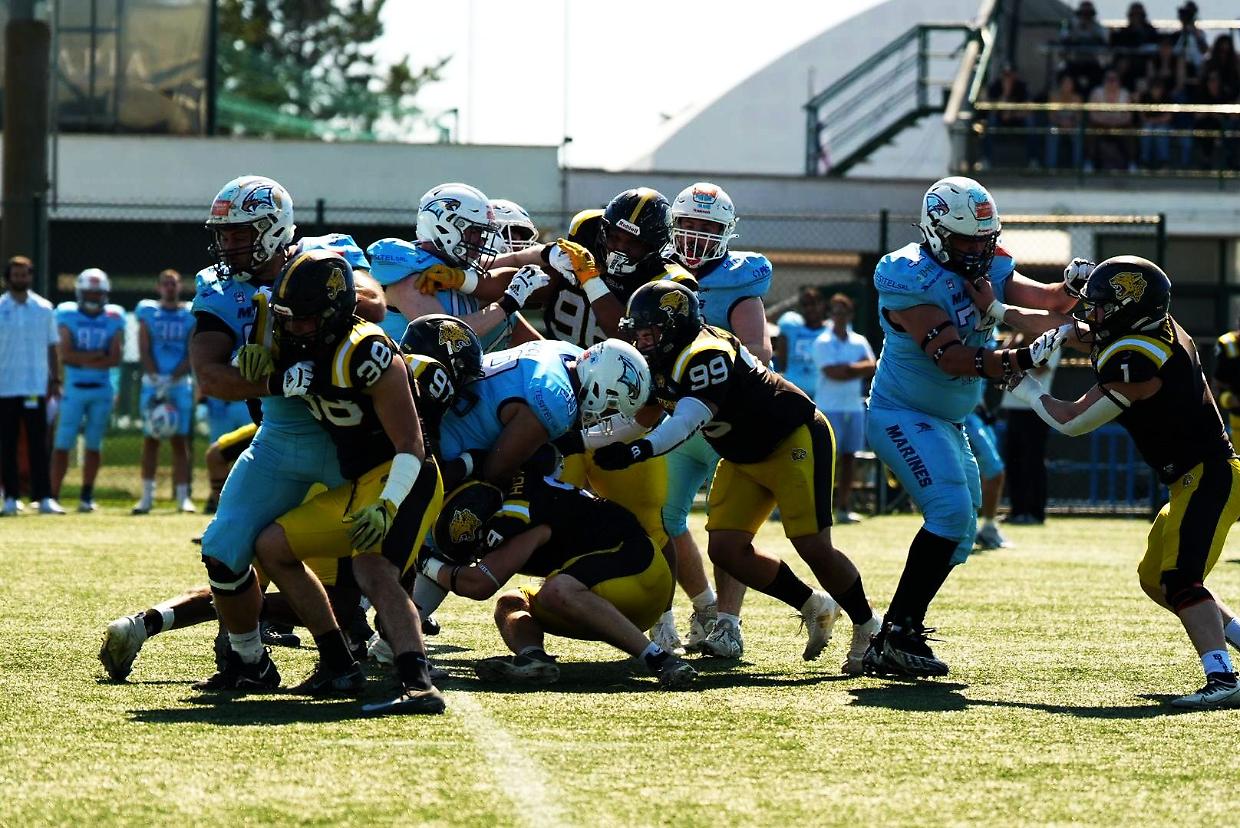 Giaguari contro i Marines