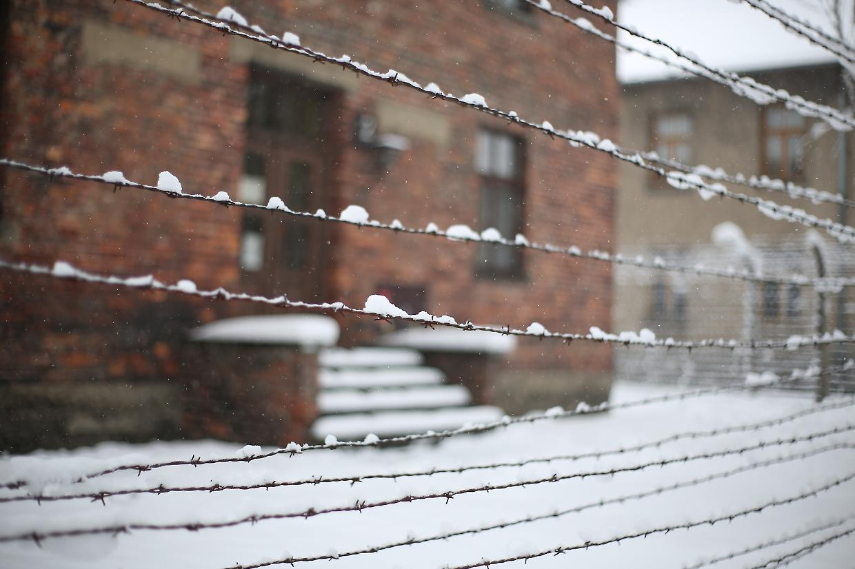 Odio online e apologia della Shoah, un torinese nell'inchiesta: sono tutti giovanissimi