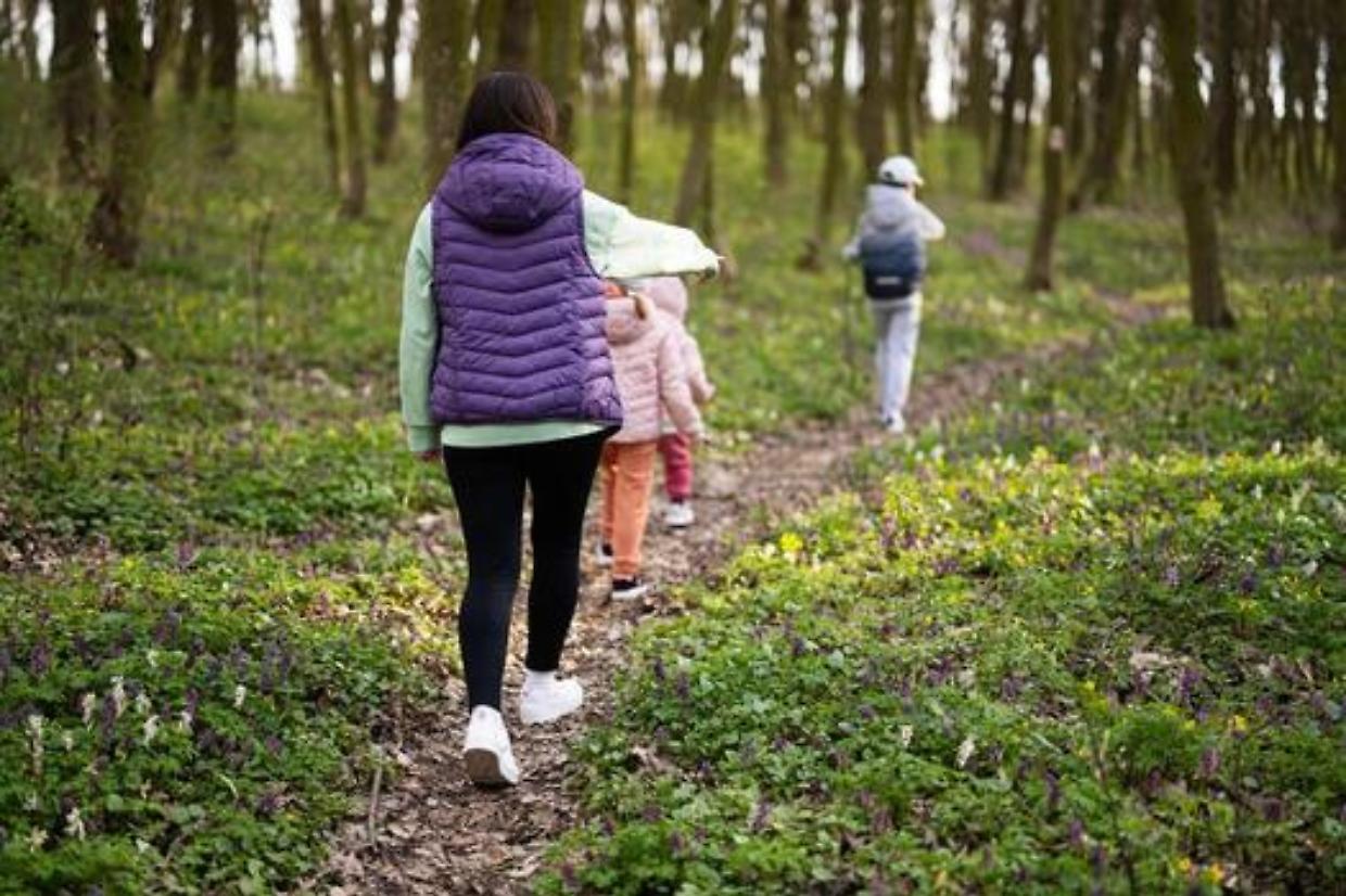 Il bosco &egrave; la nuova aula: 13 tappe gratuite tra Torino e Cuneo 