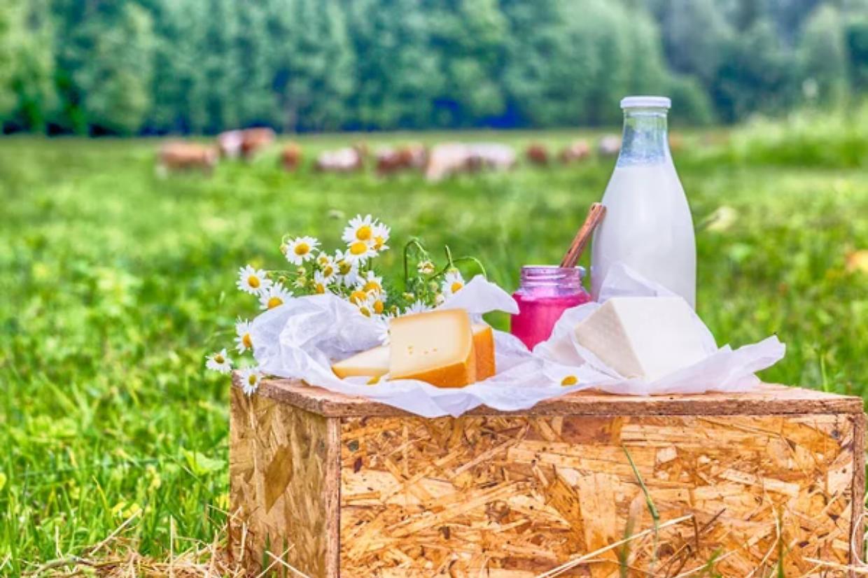 Cavour, dove la terra diventa tavola: nasce &ldquo;Terre e Cibo&rdquo; tra biodiversit&agrave;, filiera corta e cultura del mangiare bene