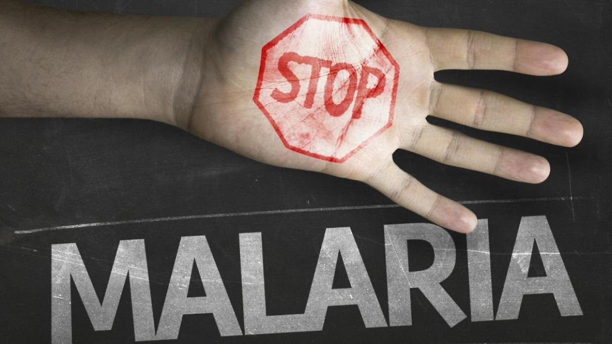 Giornata Mondiale della Malaria, in Italia 800 casi l'anno, tutti d'importazione