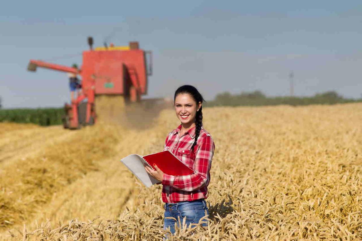 Giovani agricoltori, nuovo bando per acquistare terreni fino a 1,5 milioni di euro