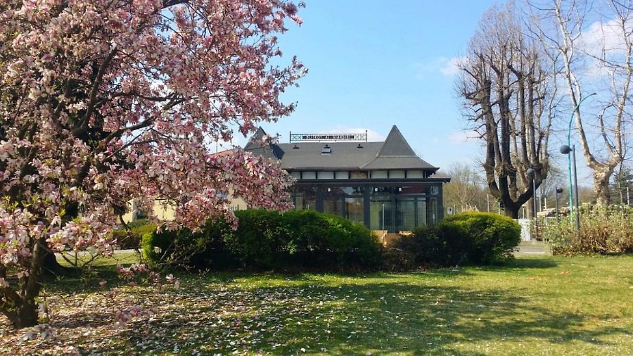 Oleggio, paura al &ldquo;Bistrot ai giardini&rdquo;: gruppo di giovani danneggia il locale davanti ai clienti