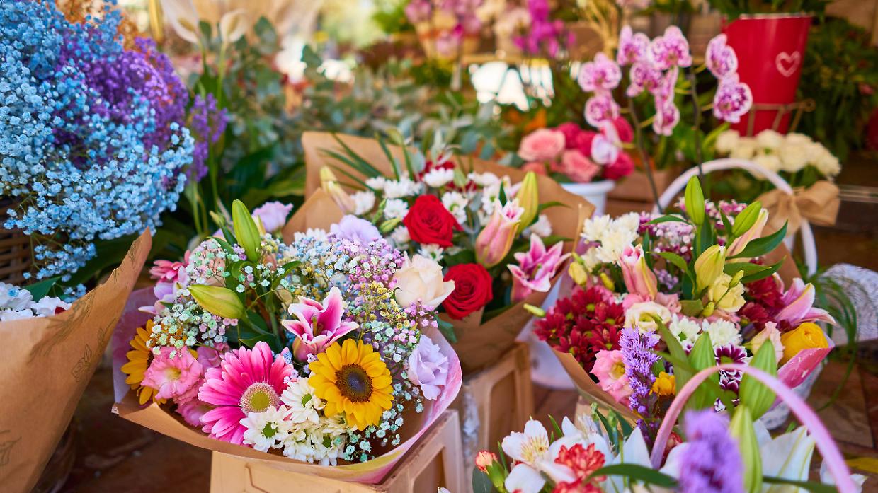 A Cambiano torna la Festa di Primavera con la celebrazione dell&rsquo;asparago tra sapori, musica e tradizione