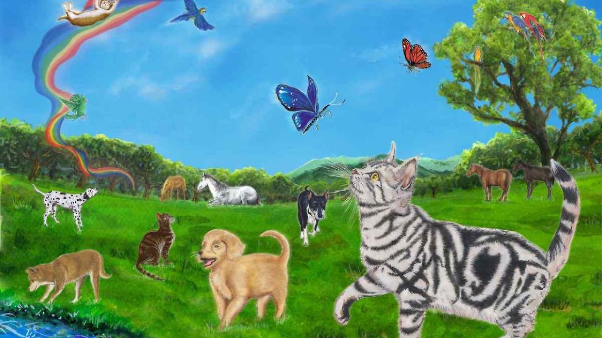 Rivalta apre il &ldquo;Ponte dell&rsquo;Arcobaleno&rdquo;: il luogo dove i ricordi degli animali non svaniscono