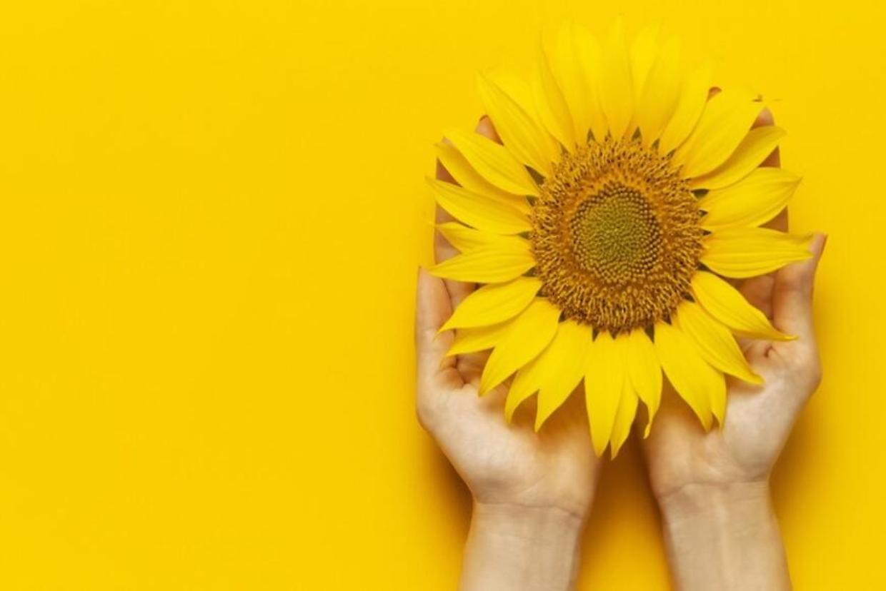 &ldquo;Endometriosi: servono pi&ugrave; consapevolezza, diagnosi precoci e formazione sanitaria. Siamo al fianco delle donne&rdquo;