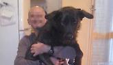 Linnea, 11 anni, uccisa a casa dal suo padrone “animalista”