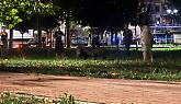 Nichelino, cronaca di una notte di tensione: cinghiali liberati in strada, gomma tagliata all’auto dei carabinieri