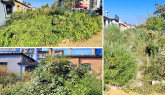 L'erba alta trasforma il parcheggio in una selva. «Lo sfalcio al Comune una scelta scellerata»