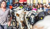 Il weekend tra sagre, fiere e sapori