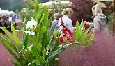 Tre giorni per il giardino