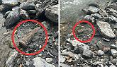Una bomba a Bardonecchia, chiuso il ponte all'ingresso del paese