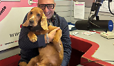 La radio piemontese che ama gli animali: una trasmissione tutta per loro