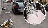 Veronese ferito a collo, schiena, torace e addome. Sotto di lui il coltello che l'ha ucciso