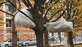 Coperte sugli alberi e rifugi improvvisati: il centro di Torino a due velocità