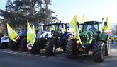 Torino, trattori in marcia verso la Regione e l'urlo degli agricoltori: «deve n’andi»