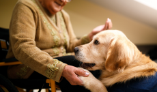 Settimo dice s&igrave; alla pet therapy: approvata la mozione in Consiglio