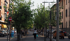 Venaria Reale, commercianti tra cantieri e ristori: depositata una mozione in Consiglio