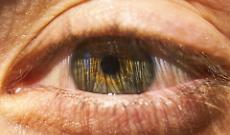 Torino, visite oculistiche gratuite per la prevenzione delle maculopatie: arriva la campagna “Occhio agli occhi”
