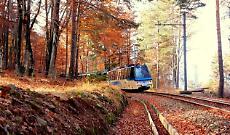 Il Treno del Foliage: l’autunno in Piemonte corre sui binari
