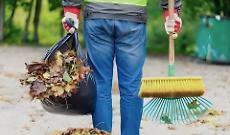 Madonna della Rovere, crepa sulla quercia storica: timori per la chiesa