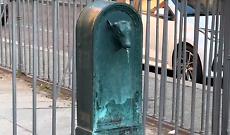 Il Toret pi&ugrave; strano di Torino: il toro senza corna di Piazza Santa Giulia