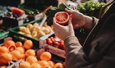 Fiera primaverile di Carmagnola, la 562&ordf; edizione racconta il futuro senza dimenticare le radici