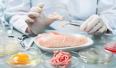 Allarme in Europa: batteri alimentari sempre pi&ugrave; resistenti agli antibiotici