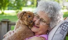 Settimo torinese: la Pet Therapy entra in casa