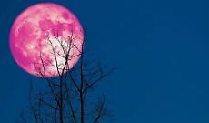 Arriva la luna rosa, il cielo saluta la primavera: ecco quando vederla
