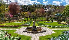 Primavera in arrivo: ecco i parchi dell&rsquo;Alto Piemonte che si colorano di fiori gi&agrave; a marzo