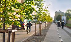 Italia al via con la Legge sul Ripristino della Natura: forse ci aspetta un futuro pi&ugrave; verde