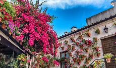 Tra gusto e storia: ecco le sagre e fiere da non perdere in Piemonte