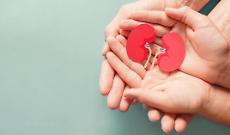 Il 9 marzo &egrave; la Giornata Mondiale del Rene, una malattia silenziosa che colpisce 850 milioni di persone