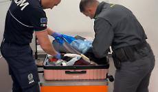 Controlli serrati all&rsquo;aeroporto di Caselle: 12 respinti alla frontiera, 4 arresti e oltre 234mila passeggeri verificati