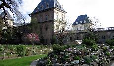 Torino, riapre l&rsquo;Orto Botanico del Valentino: piante e fiori da tutto il mondo