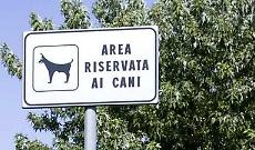 Area cani chiusa fino al 31 marzo: stop temporaneo per far crescere il nuovo prato
