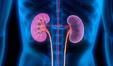 Reni, l'ASL Citt&agrave; di Torino pubblica due studi che migliorano diagnosi e cure