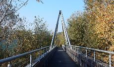 Collegno rinnova il verde urbano: 72 nuovi alberi piantati al Villaggio Dora