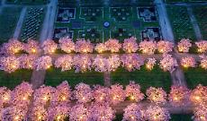 Reggia di Venaria: tornano le aperture serali tra musica, yoga e matsuri sotto le stelle