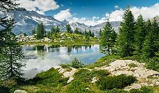 Una &ldquo;banca del DNA&rdquo; per i boschi piemontesi: il piano per salvare le foreste dal clima