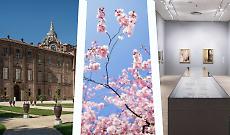 Torino capitale della cultura: la primavera 2026 tra grandi maestri e memoria storica