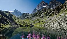 Aggiornata la banca del Dna delle foreste piemontesi