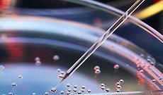 Torino al centro della medicina del futuro