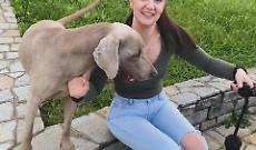 Quelle cinque ore di buio dopo il parto: Angelica muore dissanguata a 31 anni