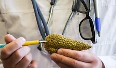 Tumore del pancreas, casi in aumento: un milione di euro per la nuova ricerca clinica