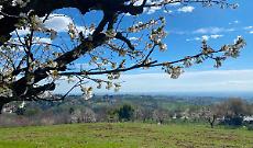 Un sabato tutto gratis in collina: 50 eventi per la prima festa dell'Energia Sociale