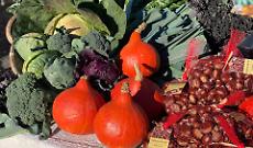 Nasce il Distretto del Cibo di montagna