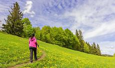 Torna la Camminata della Pace: da Ciri&eacute; a Lanzo un percorso tra natura e solidariet&agrave;