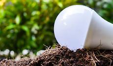 Addio lampadine, avanti fotovoltaico: il Piemonte brilla nella raccolta RAEE